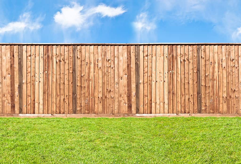 What You Need to Know About California Fence Laws MM Property