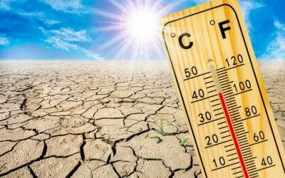 Heat and drought emergencies trigger protections against rent gouging