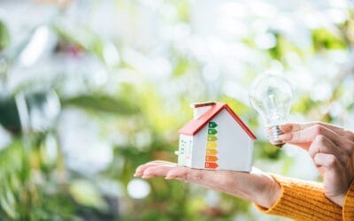 Quick read how to beat Daylight Saving